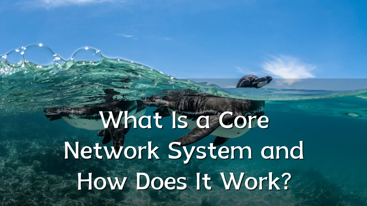 What Is a Core Network System and How Does It Work?