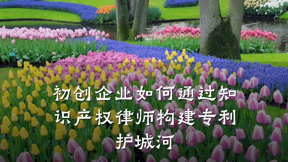初创企业如何通过知识产权律师构建专利护城河
