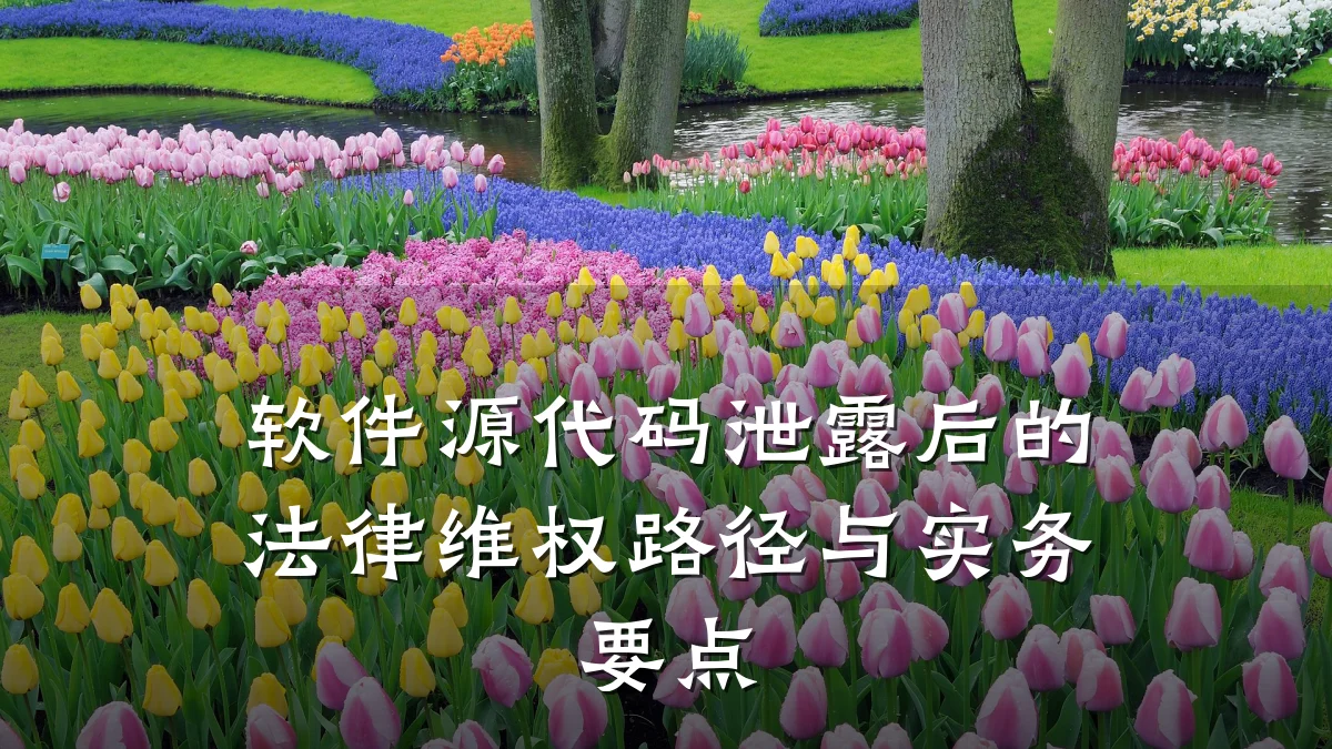 软件源代码泄露后的法律维权路径与实务要点