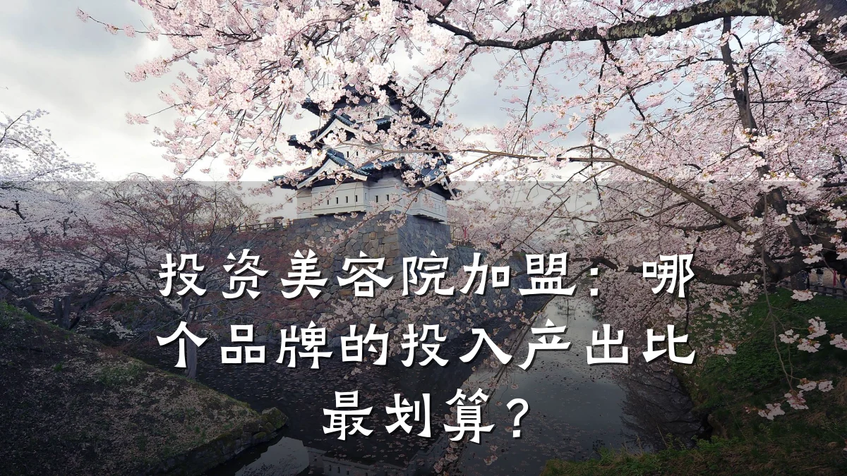 投资美容院加盟:哪个品牌的投入产出比最划算?