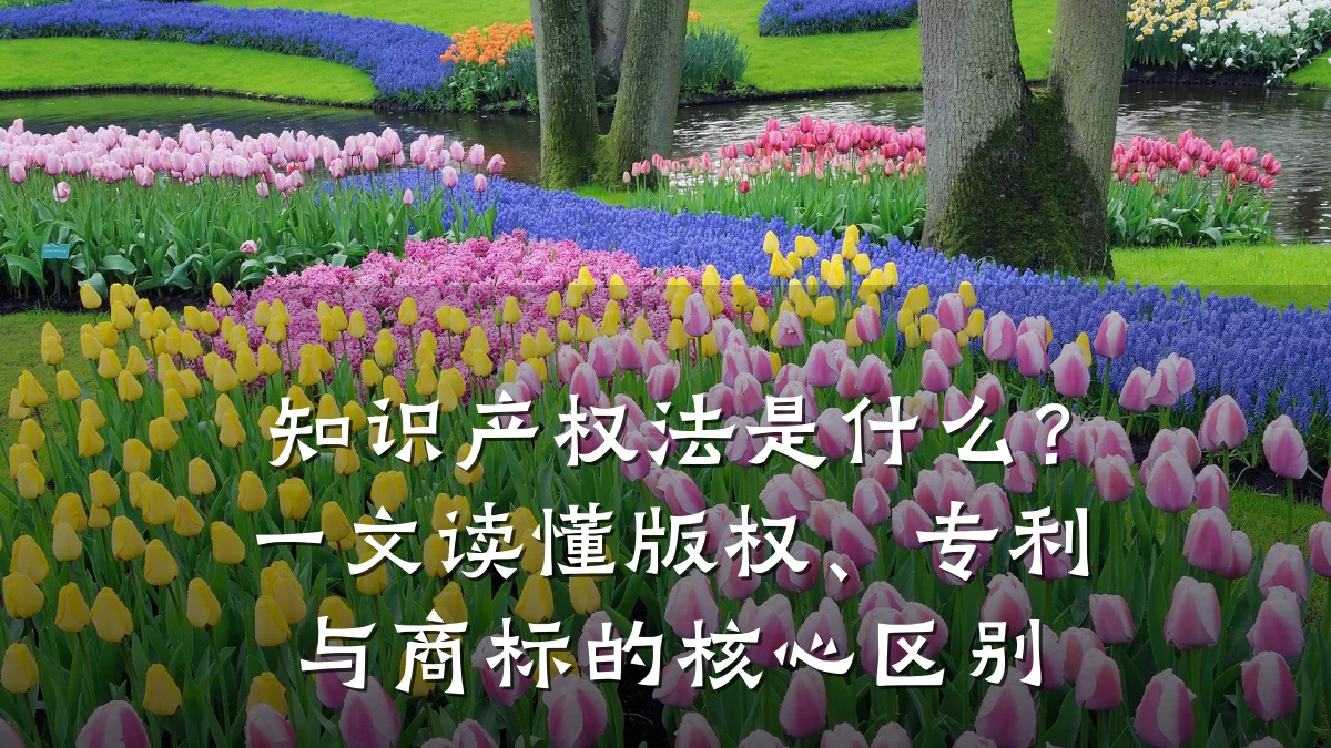 知识产权法是什么?一文读懂版权、专利与商标的核心区别