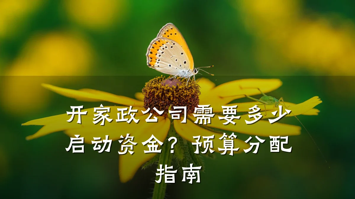 开家政公司需要多少启动资金？预算分配指南