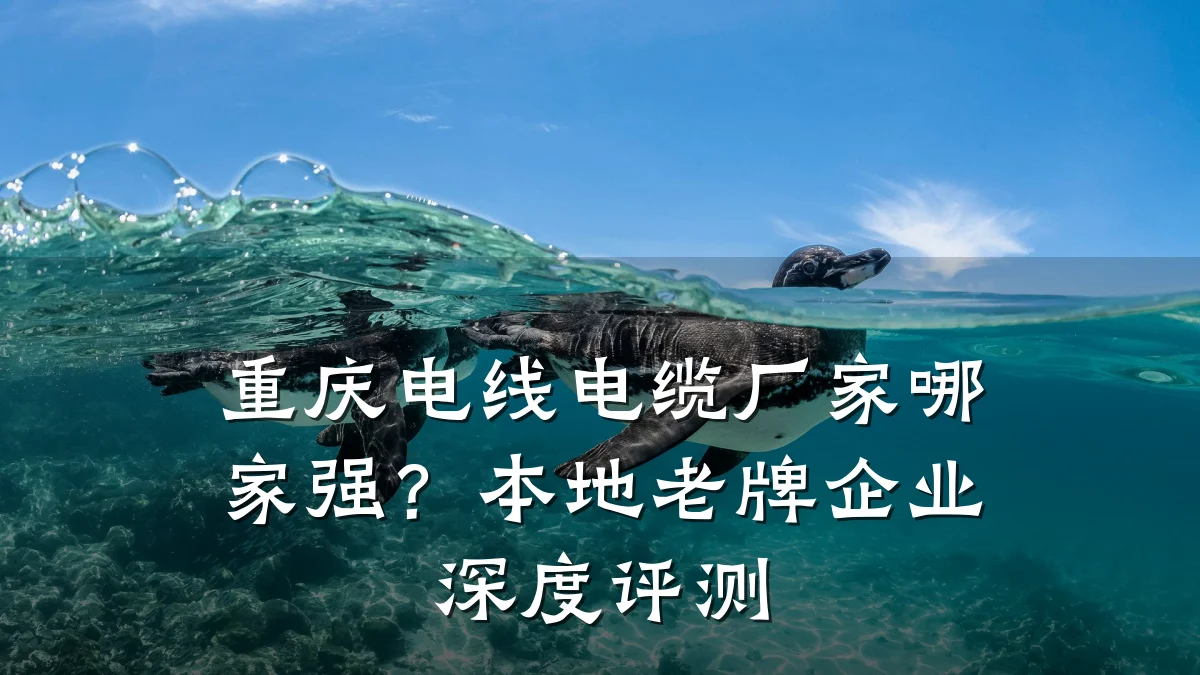 重庆电线电缆厂家哪家强？本地老牌企业深度评测