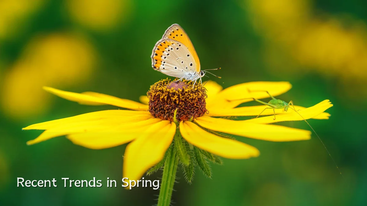 Recent Trends in Spring