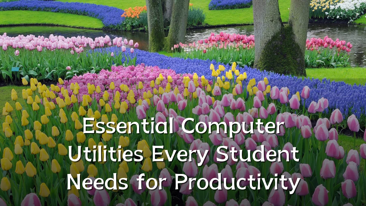 Essential Computer Utilities Every Student Needs for Productivity
