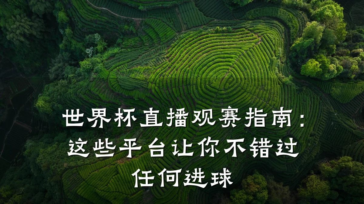 世界杯直播观赛指南:这些平台让你不错过任何进球