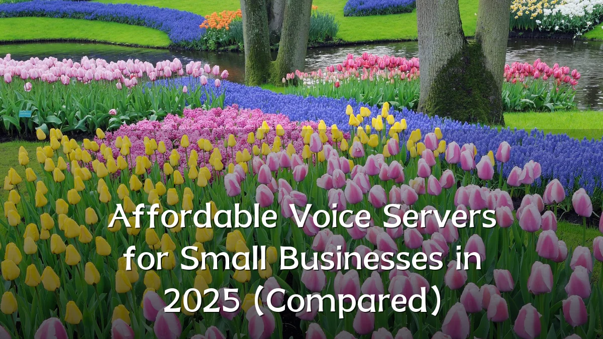 Affordable Voice Servers for Small Businesses in 2025 (Compared)