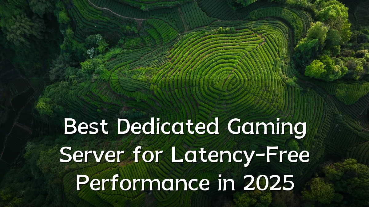 Best Dedicated Gaming Server for Latency-Free Performance in 2025