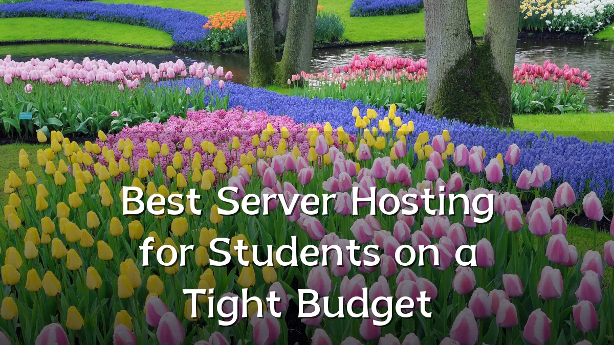 Best Server Hosting for Students on a Tight Budget