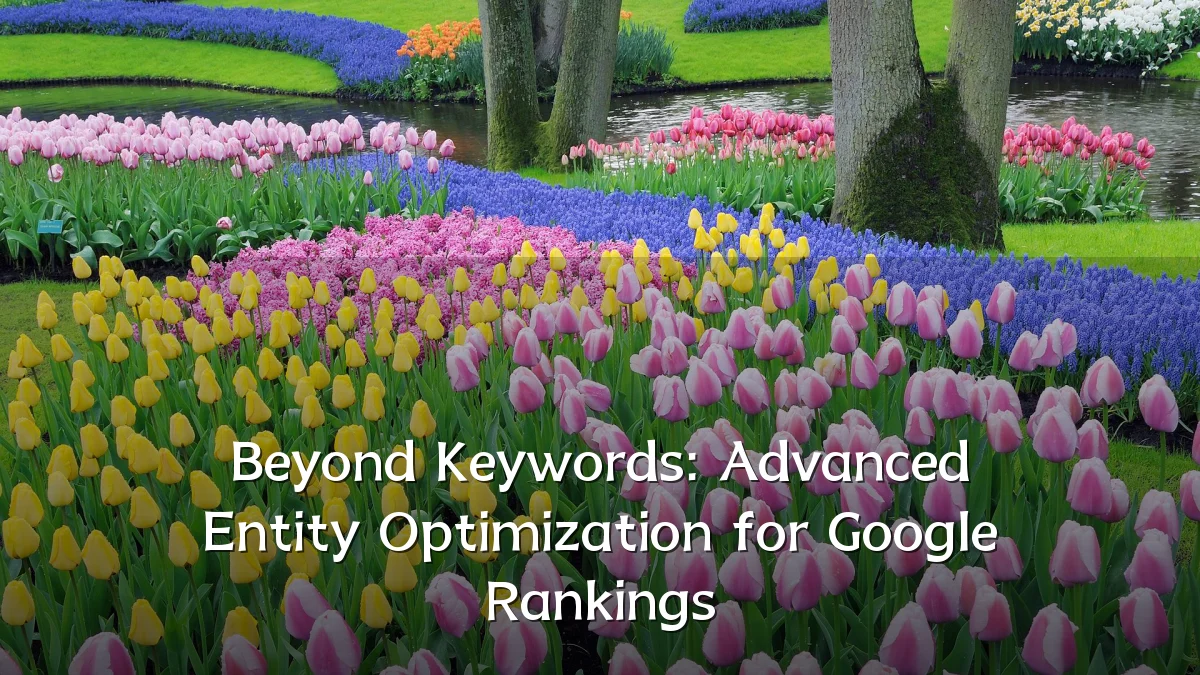 Beyond Keywords: Advanced Entity Optimization for Google Rankings