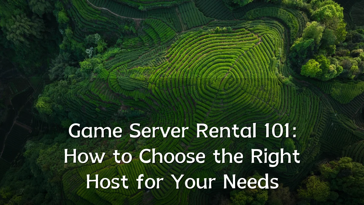 Game Server Rental 101: How to Choose the Right Host for Your Needs