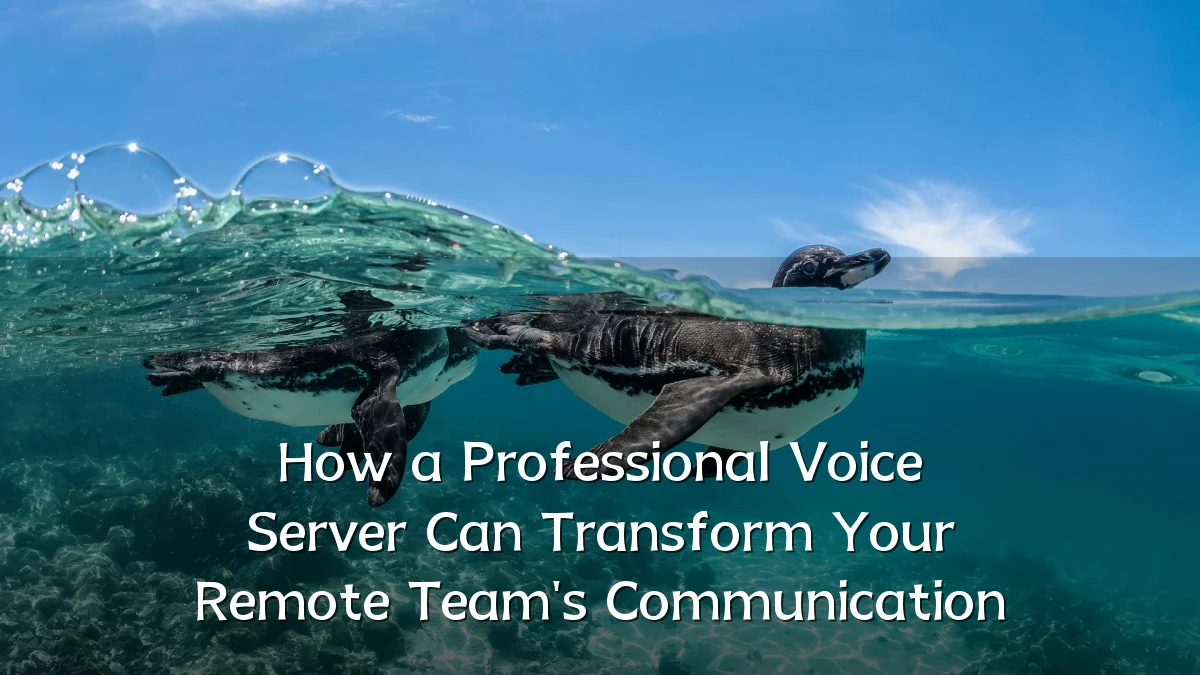 How a Professional Voice Server Can Transform Your Remote Team's Communication