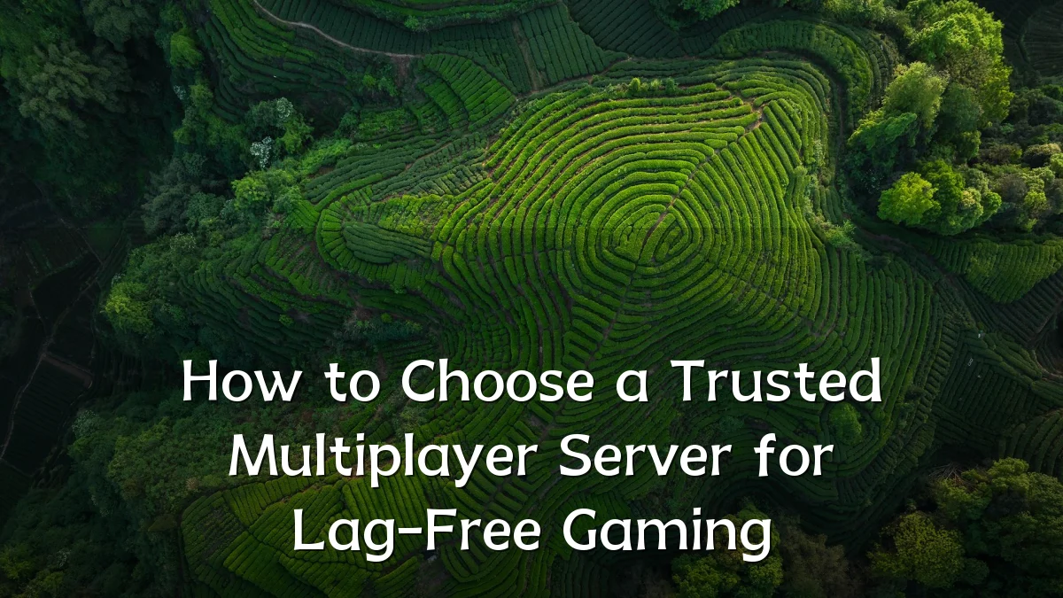 How to Choose a Trusted Multiplayer Server for Lag-Free Gaming