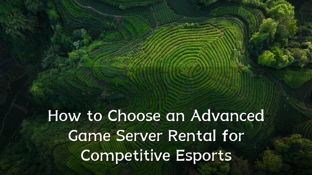 How to Choose an Advanced Game Server Rental for Competitive Esports