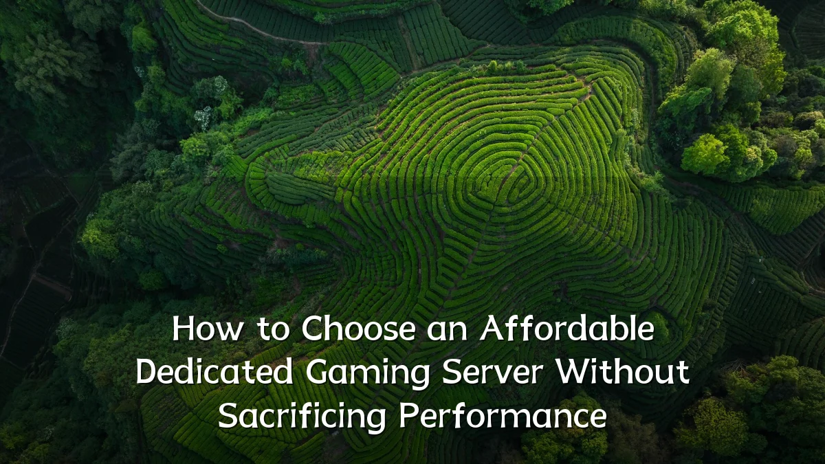 How to Choose an Affordable Dedicated Gaming Server Without Sacrificing Performance