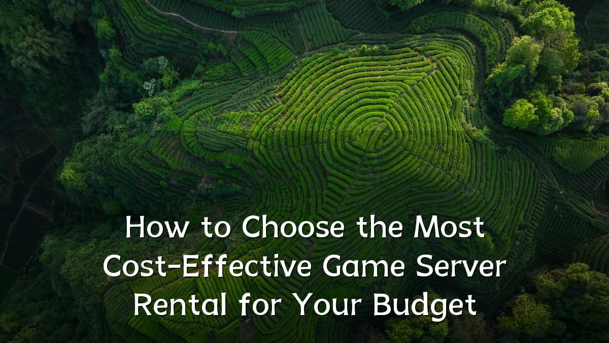 How to Choose the Most Cost-Effective Game Server Rental for Your Budget
