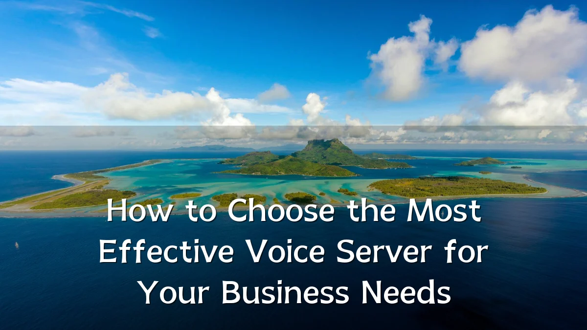 How to Choose the Most Effective Voice Server for Your Business Needs