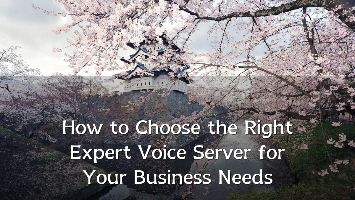 How to Choose the Right Expert Voice Server for Your Business Needs