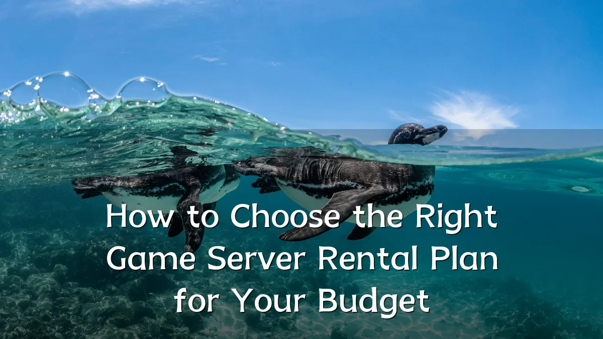 How to Choose the Right Game Server Rental Plan for Your Budget