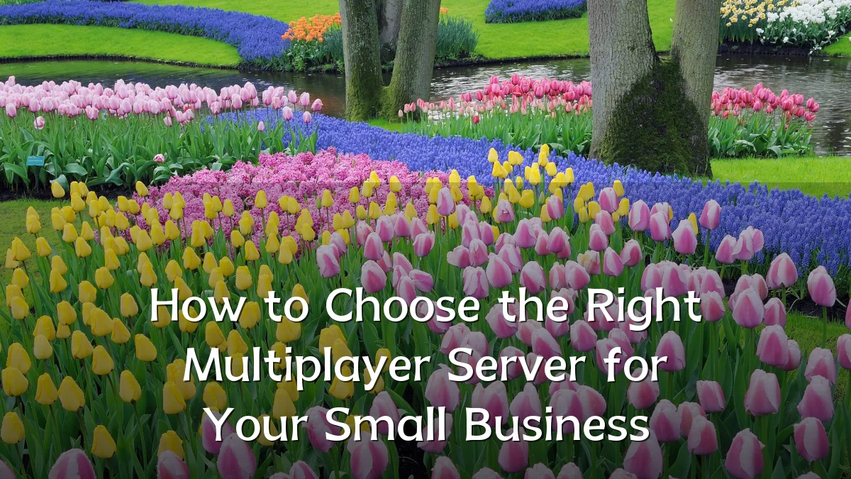 How to Choose the Right Multiplayer Server for Your Small Business