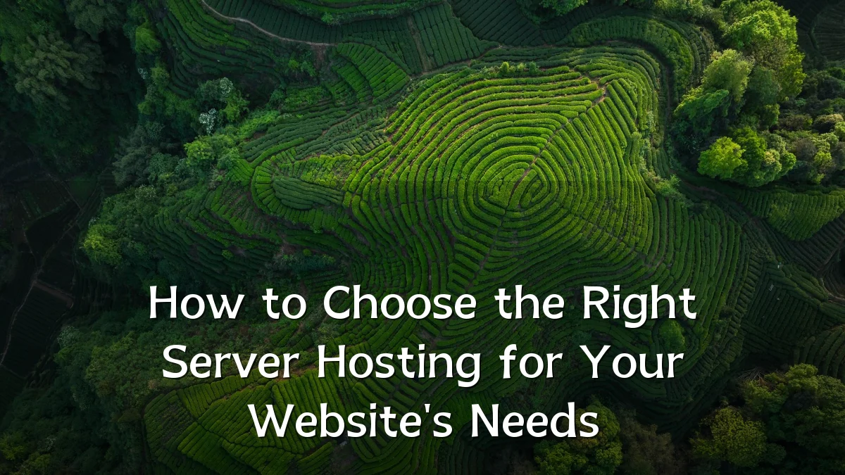 How to Choose the Right Server Hosting for Your Website's Needs