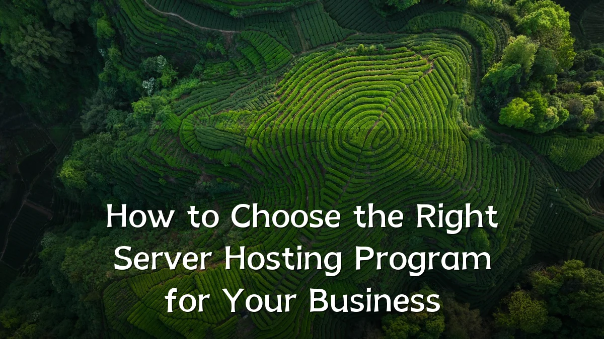How to Choose the Right Server Hosting Program for Your Business