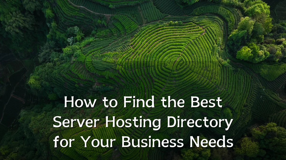 How to Find the Best Server Hosting Directory for Your Business Needs