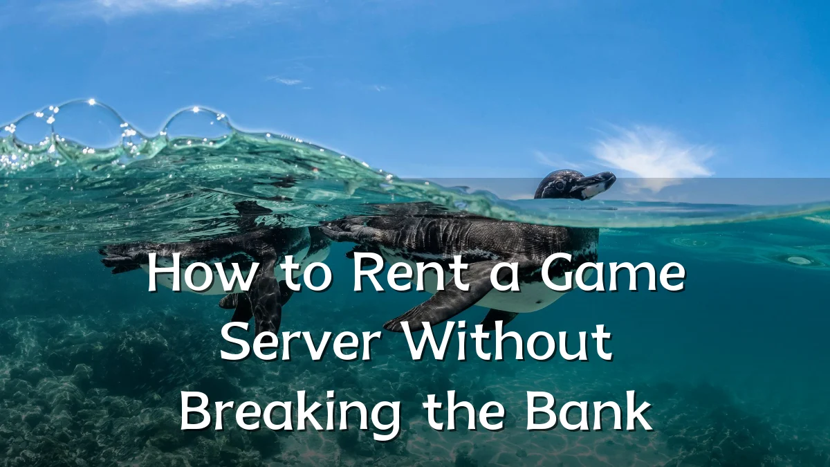 How to Rent a Game Server Without Breaking the Bank