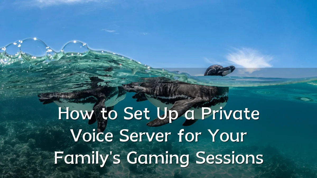 How to Set Up a Private Voice Server for Your Family's Gaming Sessions
