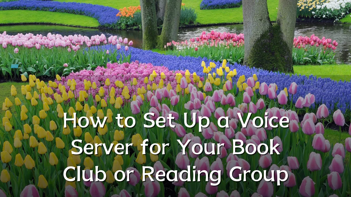 How to Set Up a Voice Server for Your Book Club or Reading Group