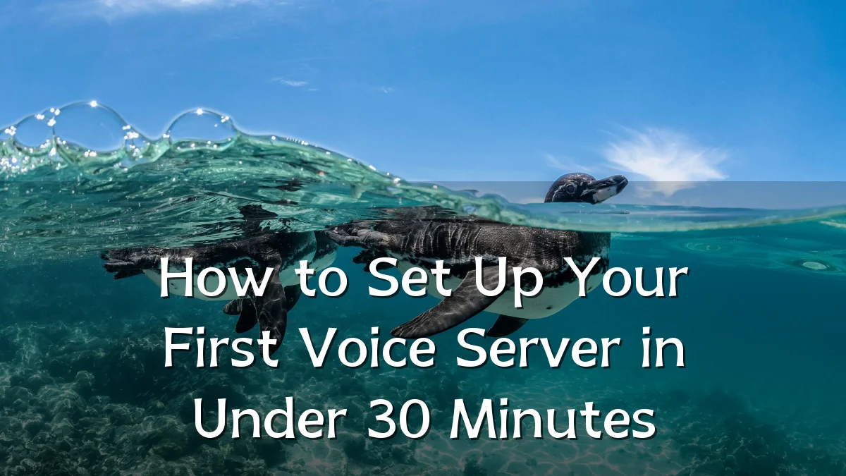 How to Set Up Your First Voice Server in Under 30 Minutes