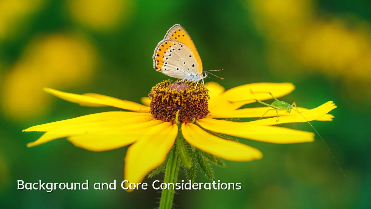 Background and Core Considerations