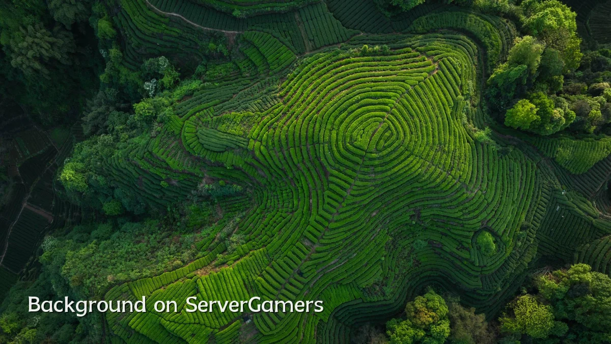Background on ServerGamers
