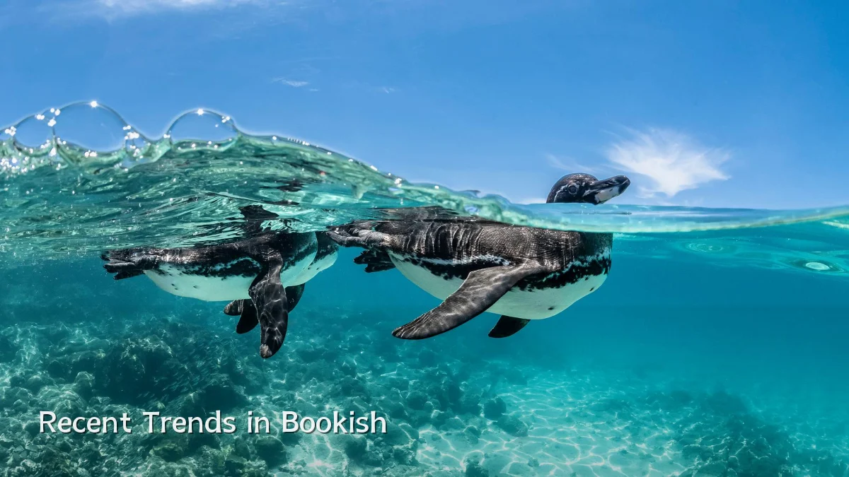 Recent Trends in Bookish