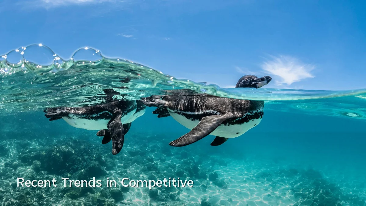 Recent Trends in Competitive
