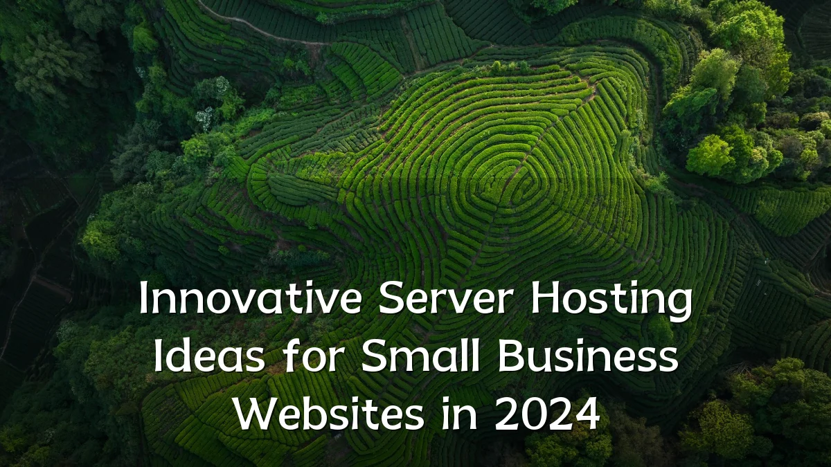 Innovative Server Hosting Ideas for Small Business Websites in 2024