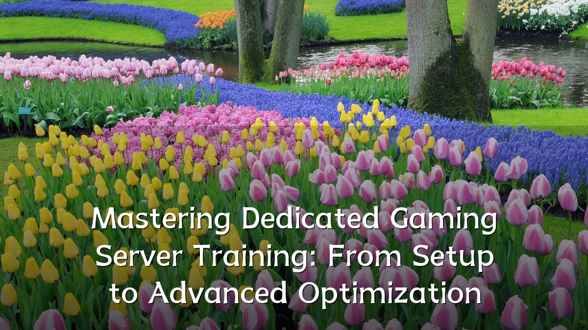 Mastering Dedicated Gaming Server Training: From Setup to Advanced Optimization
