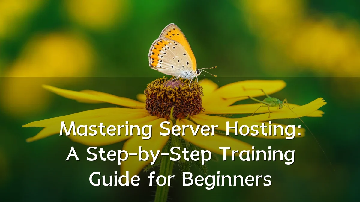 Mastering Server Hosting: A Step-by-Step Training Guide for Beginners