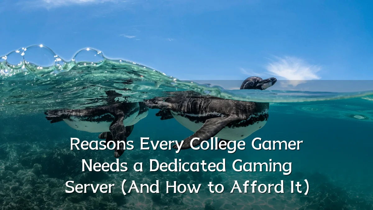 Reasons Every College Gamer Needs a Dedicated Gaming Server (And How to Afford It)