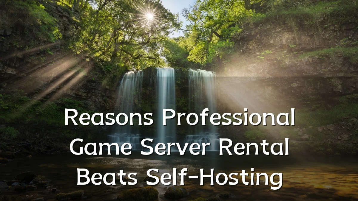 Reasons Professional Game Server Rental Beats Self-Hosting