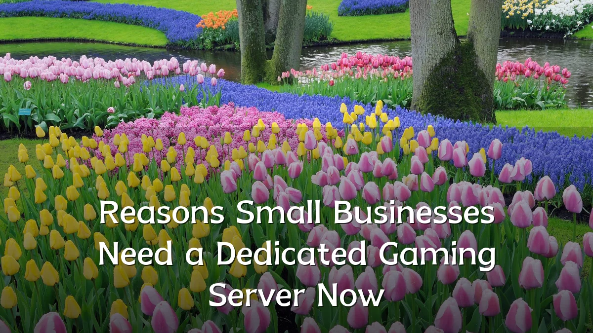 Reasons Small Businesses Need a Dedicated Gaming Server Now