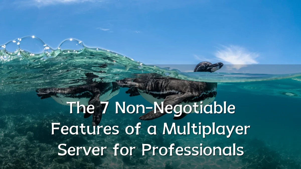 The 7 Non-Negotiable Features of a Multiplayer Server for Professionals