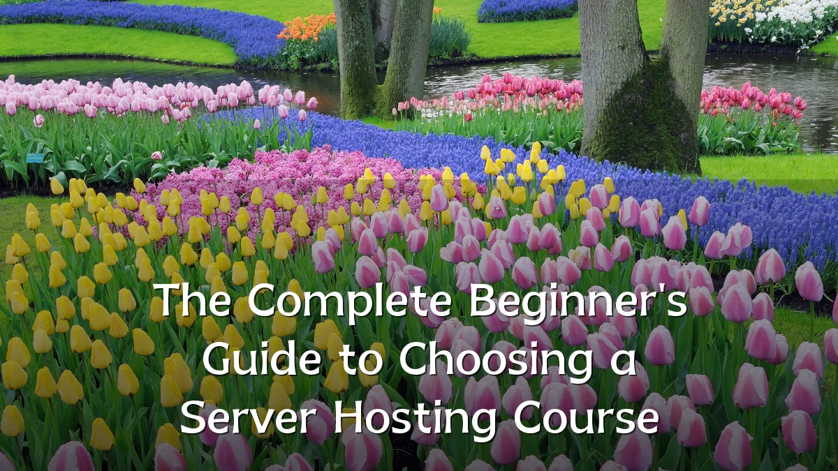The Complete Beginner's Guide to Choosing a Server Hosting Course
