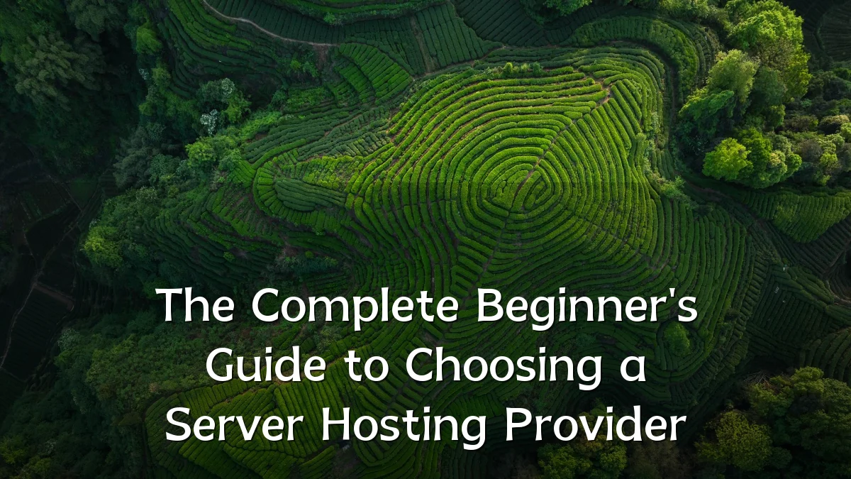 The Complete Beginner's Guide to Choosing a Server Hosting Provider