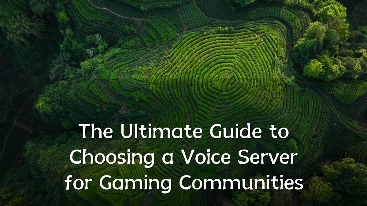The Ultimate Guide to Choosing a Voice Server for Gaming Communities