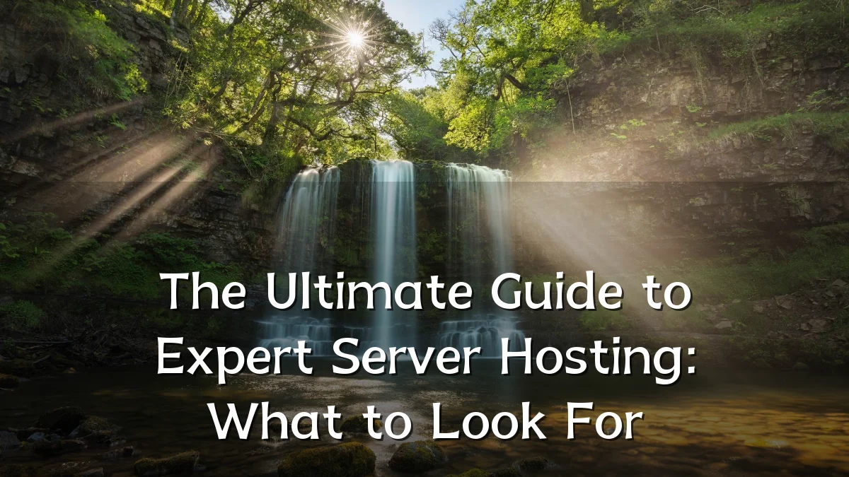 The Ultimate Guide to Expert Server Hosting: What to Look For