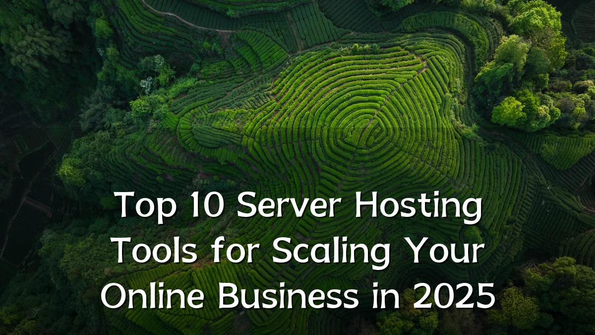 Top 10 Server Hosting Tools for Scaling Your Online Business in 2025