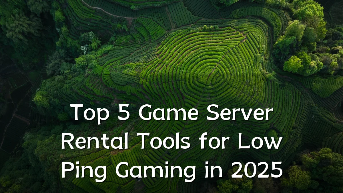 Top 5 Game Server Rental Tools for Low Ping Gaming in 2025