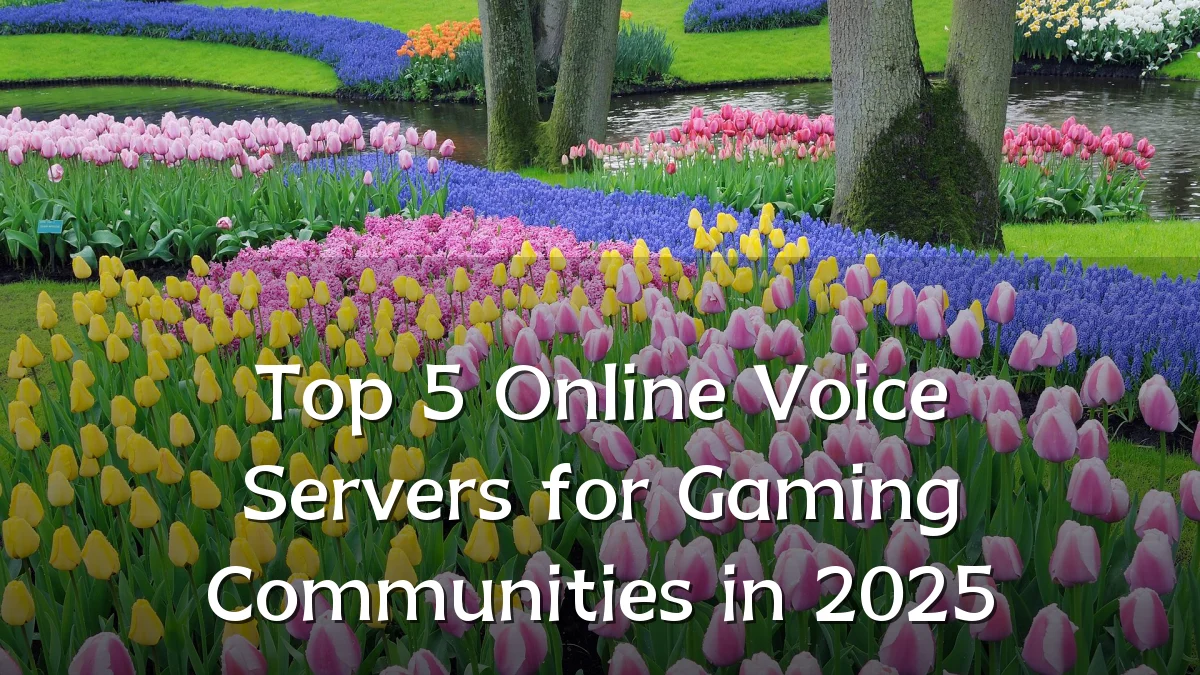 Top 5 Online Voice Servers for Gaming Communities in 2025