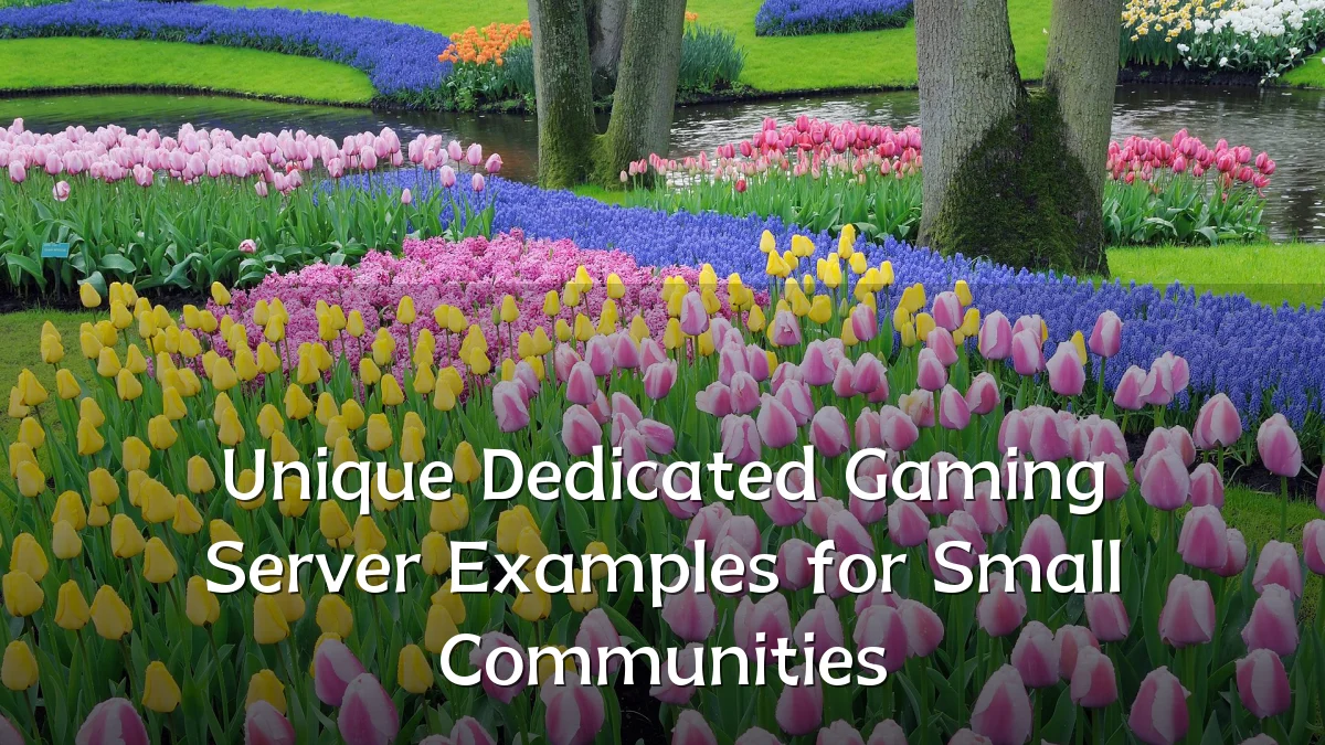 Unique Dedicated Gaming Server Examples for Small Communities